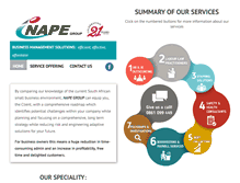 Tablet Screenshot of nape.co.za